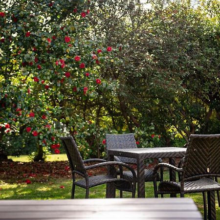 Copthorne Effingham Gatwick Hotel Esterno foto